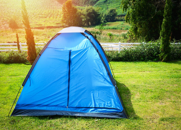 Colorful Niebieski namiot camping w wierszu piękne na trawa zielony łąka dla podróży turystycznych relaks wakacje zewnątrz - Zdjęcie, obraz