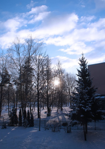 Krajobraz zimowy w Rydze, Łotwa, Europa Wschodnia - Zdjęcie, obraz
