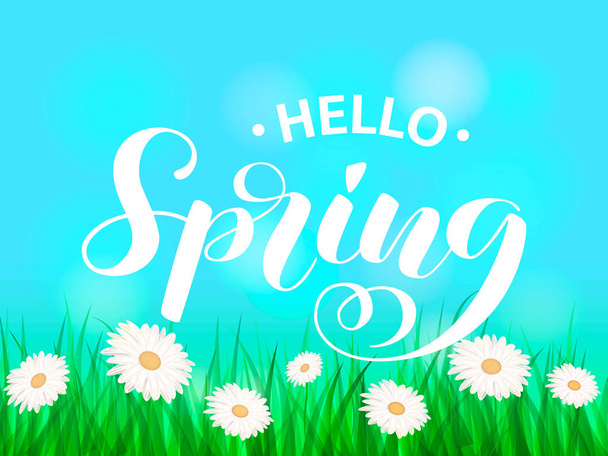 Summer chamomile glade. Hello spring lettering. Vector illustration - Vektör, Görsel