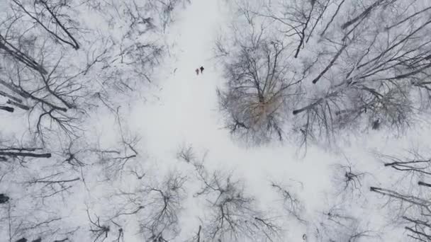Un homme et une femme courent en hiver dans les bois pour s'entraîner et faire leur santé. Jogging matinal, mode de vie sain. Aérien
 - Séquence, vidéo