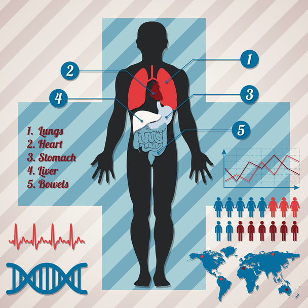 ιατρική infographics. εικονογράφηση φορέας - Διάνυσμα, εικόνα