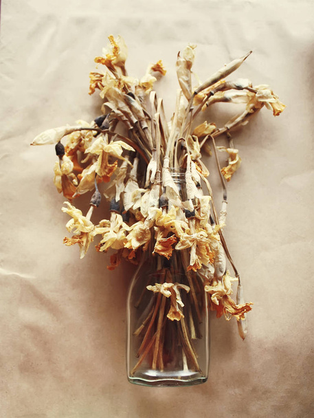 Сушеные цветы нарциссов
 - Фото, изображение