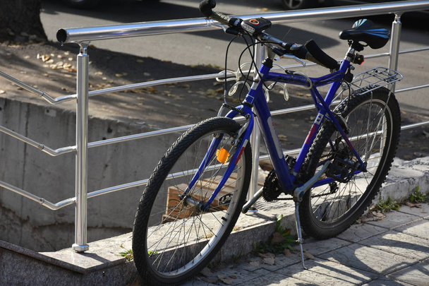 bici nel parco e bicicletta - Foto, immagini