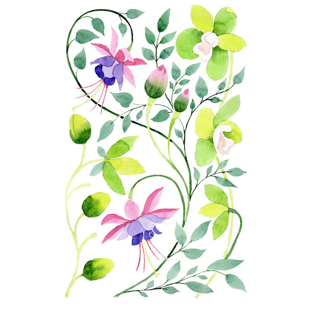 Violet fuchsia and green orchid flowers ornament. Watercolor background set. Isolated ornament illustration element. - Fotó, kép