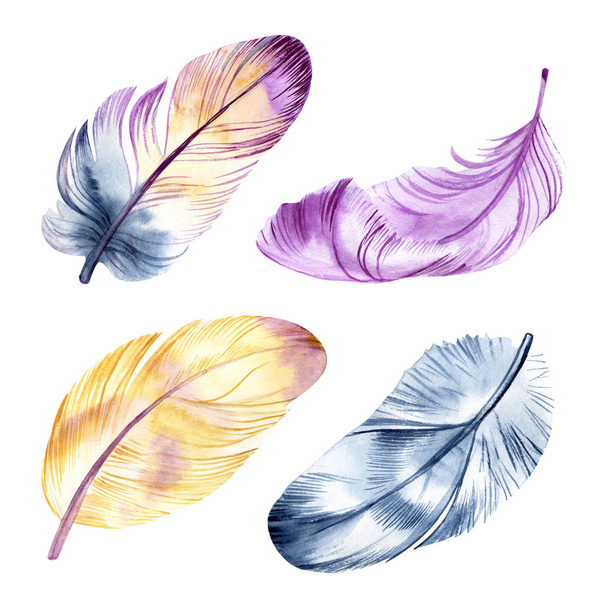 Feathers watercolor set. Isolated on white background - Photo, image