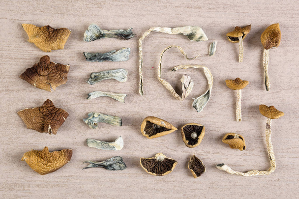 Dried magic mushrooms from above. Knolling flat lay background. Entheogen, alternative medicine. - Zdjęcie, obraz