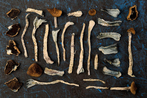 Dried magic mushrooms from above. Knolling flat lay background. Natural remedy. - Zdjęcie, obraz