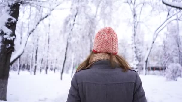   4k. spazierende hübsche junge Frau mit rotem Hut, die im Winterpark spazieren geht und sich umdreht. Steter Schuss - Filmmaterial, Video