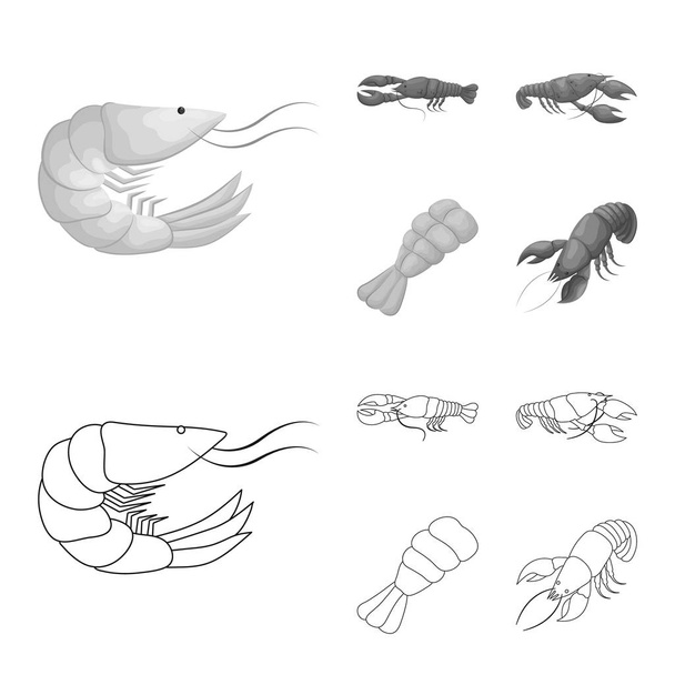 Vector illustration of appetizer and ocean symbol. Collection of appetizer and delicacy stock symbol for web. - Vektör, Görsel