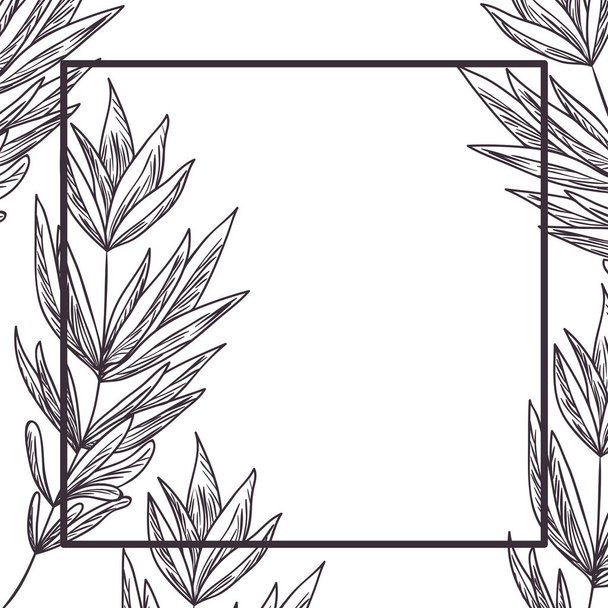 ramo e folha com quadro ícone isolado
 - Vetor, Imagem