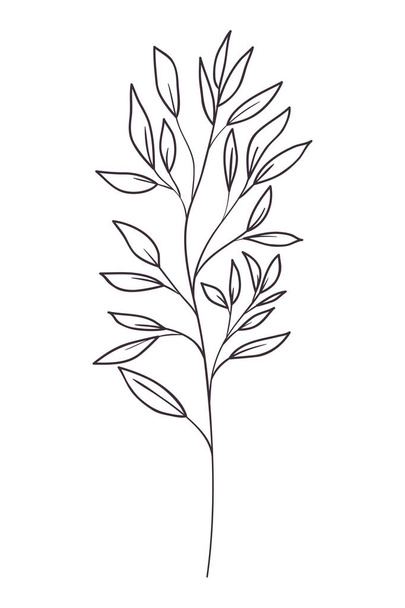 branch with leaf isolated icon - Vektor, kép