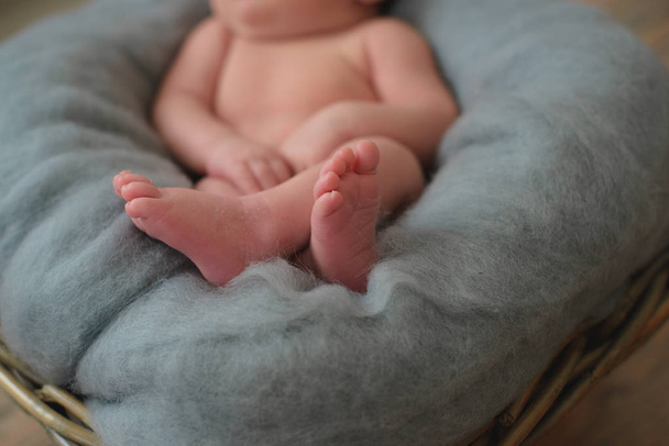Séance photo pour nouveau-nés. Une couverture en laine. Le couvre-lit est gris. Petites mains et les pieds de l'enfant. Petit. Panier en osier
. - Photo, image