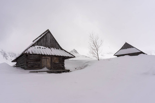 Vieilles cabanes dans la neige profonde pendant un blizzard. La vallée de Gasienicowa. Montagnes Tatra
. - Photo, image