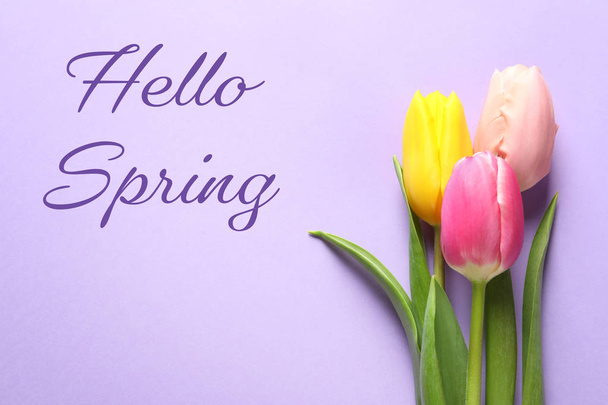 Beautiful flowers and text Hello Spring on color background, top view  - Foto, immagini