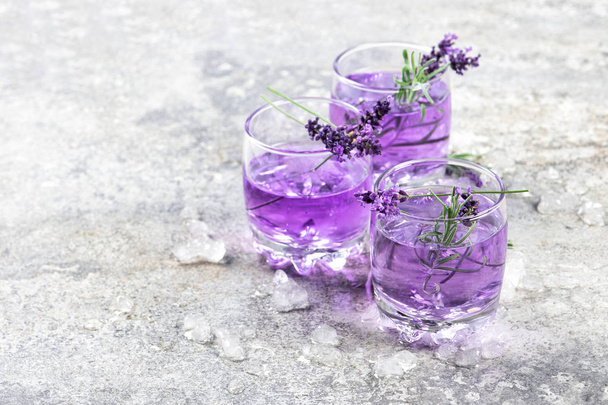 Lavender flower drink. Herbal tonik lemonade on grey background - 写真・画像
