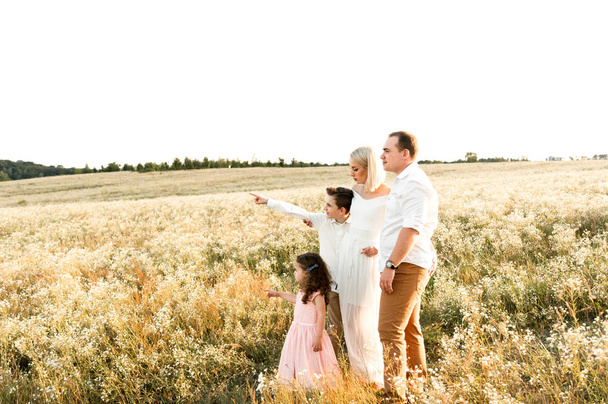 Bela família jovem com duas crianças estão olhando para algo no céu para um passeio entre o campo de camomila
. - Foto, Imagem