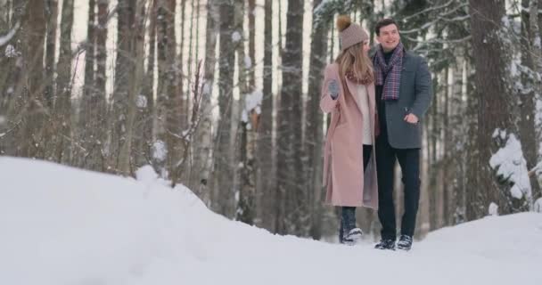 Νεαρό παντρεμένο ζευγάρι στην αγάπη περπάτημα στο δάσος το χειμώνα. Ένας άνδρας και μια γυναίκα που φαίνονται σε κάθε άλλο γέλιο και το χαμόγελο σε αργή κίνηση. Ιστορία αγάπης του Αγίου Βαλεντίνου. - Πλάνα, βίντεο