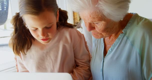 Önden Görünüm beyaz büyükanne ve torunu rahat evde oturma odasında dizüstü bilgisayar kullanarak. 4 k birbirleri ile etkileşim vardır - Video, Çekim