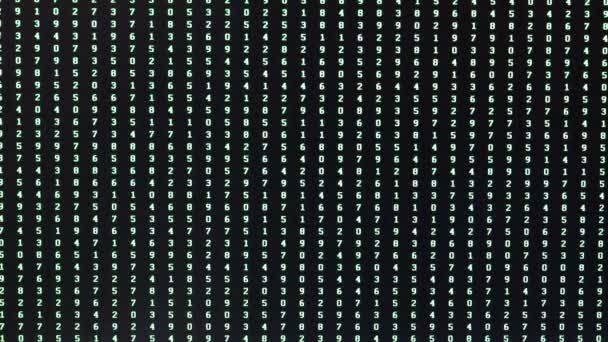 "zufällige Reihenfolge grüner Zahlen auf dem Computerbildschirm während eines Versuchs der Passwortwiederherstellung - Filmmaterial, Video
