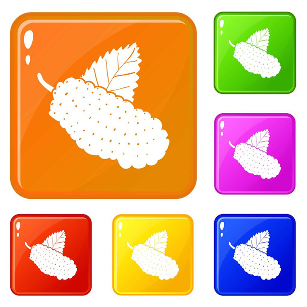 Mulberry icons set vector color - Vector, Image