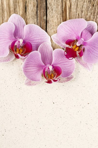 Pink orchids on paper background, copy space. - Foto, Imagen
