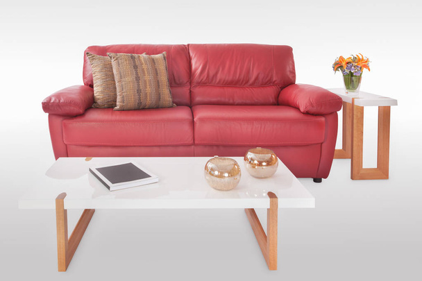 Living room with red leather sofa isolated on white - Φωτογραφία, εικόνα