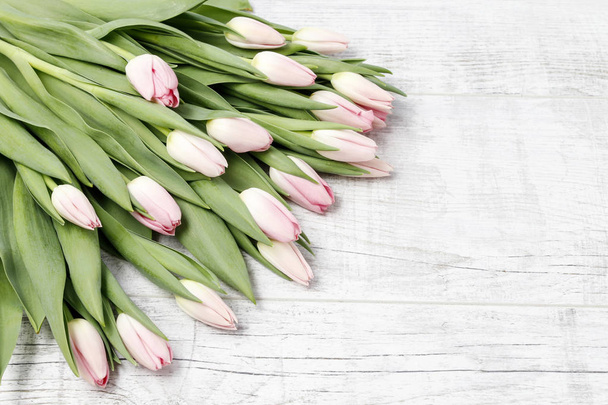 Pink tulips on white wooden background, copy space. - Фото, зображення