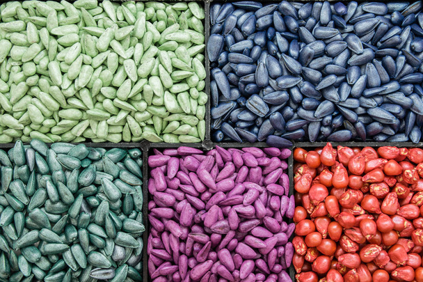 tohum ayçiçeği tohumu, Mısır, turp. sıralama ve etiketleme için boyalı agro renk. - Fotoğraf, Görsel