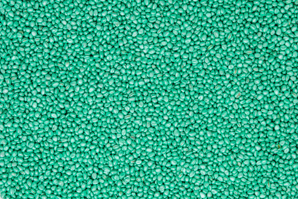 semillas de rábanos girasoles. agro color pintado para clasificación y etiquetado
. - Foto, Imagen
