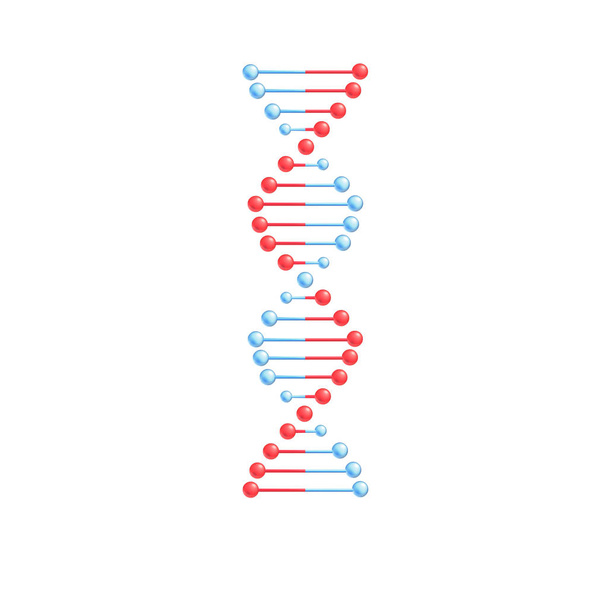 Kod genetyczny Dna cząsteczki spirala spirala wektor - Wektor, obraz