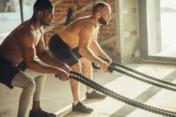 Two multiethnic bare chest sportsmen exercising with battle ropes at the gym. - Фото, изображение