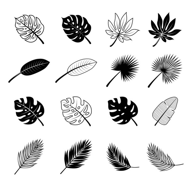 Vektorillustrationskonzept für tropische Blätter und Blüten. schwarz auf weißem Hintergrund - Vektor, Bild