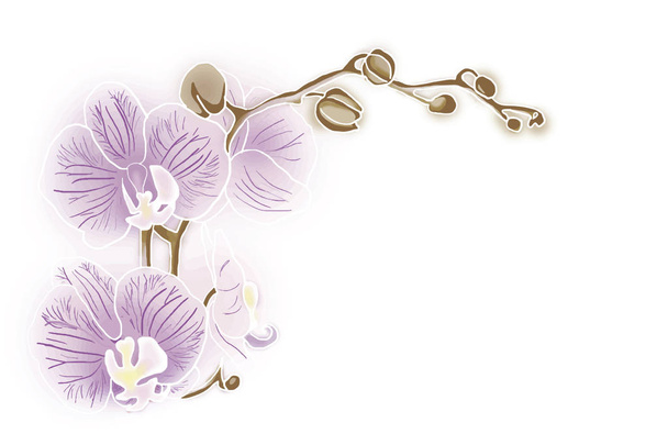 pobočka růžová orchidej - Vektor, obrázek
