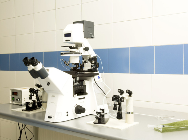 microscope - Foto, Bild