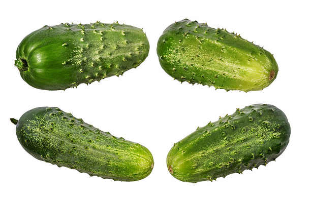 Cucumber isolated on white background - Photo, Image