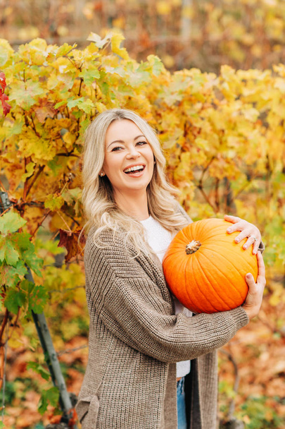 Jesienny portret piękne kobiety z blond włosy kręcone, trzymając pomarańczowe dyni, noszenie sznurów brązowy sweter kardigan, pozowanie w golden winnic - Zdjęcie, obraz