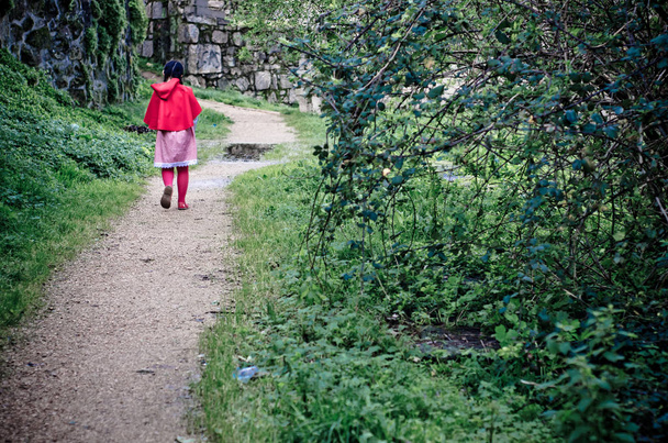 πίσω όψη του κοριτσιού που φοράει κόκκινο μανδύα στο πάρκο - Φωτογραφία, εικόνα