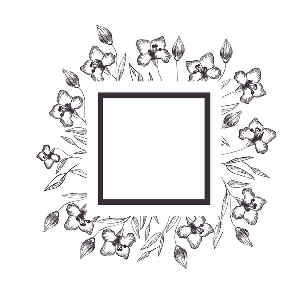 marco con plantas y hierbas icono aislado
 - Vector, Imagen
