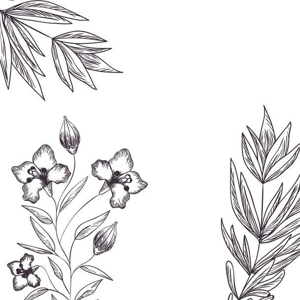 pattern plants and herbs isolated icon - Вектор,изображение