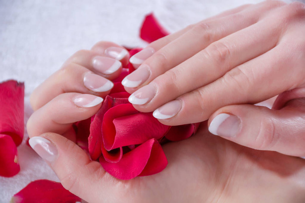 Girl hands with french manicure style and modern nails polish holding red rose petals in studio. Beauty and Manicure concept. Close up, selective focus - Photo, Image