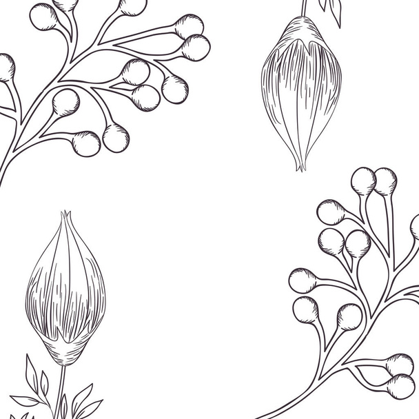 patroon planten en kruiden geïsoleerde pictogram - Vector, afbeelding