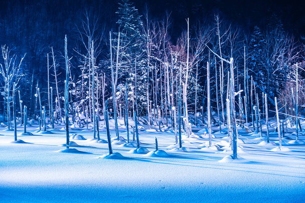 Bellissimo paesaggio esterno con laghetto blu fiume di notte con luce nella stagione invernale neve a biei Hokkaido Giappone
 - Foto, immagini