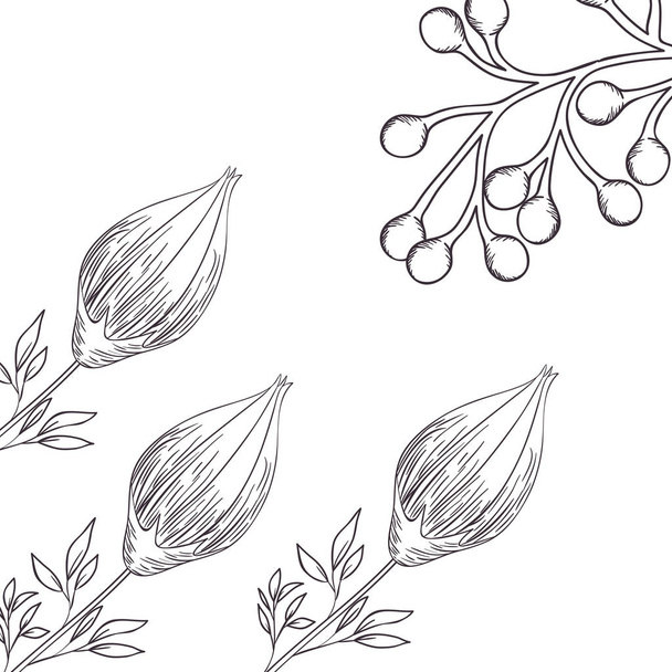 pattern plants and herbs isolated icon - Vector, Image