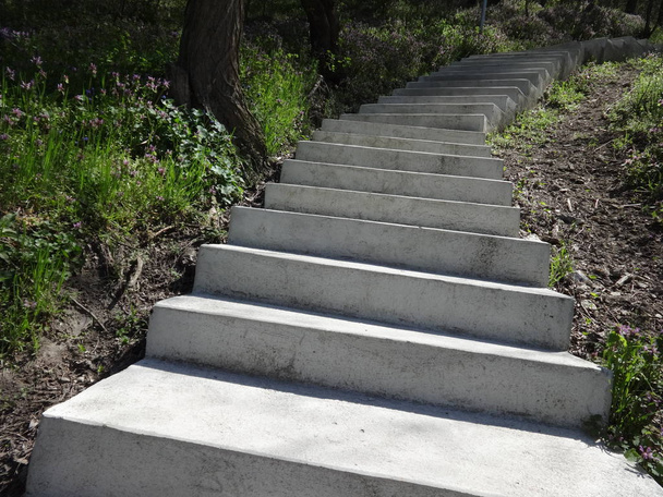 Concrete Stairs in Nature - Photo, Image