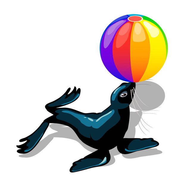 Circus animal sea lion with colorful ball isolated on white background. Vector cartoon close-up illustration. - Вектор,изображение