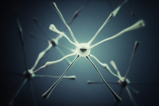 Nervenzellen - Foto, Bild