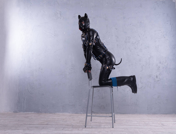 černé latexové muž oblečený v kostýmu psa fetiš na šedém pozadí - Fotografie, Obrázek