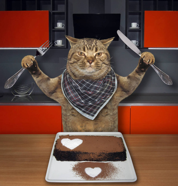 Το αστείο γάτα τρώει το ορθογώνιο κέικ σοκολάτας με ένα πιρούνι και ένα μαχαίρι στην κουζίνα.  - Φωτογραφία, εικόνα