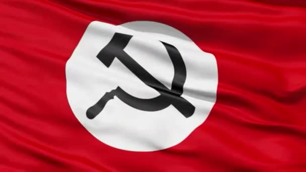 detailed slow motion Union of Soviet Socialist Republics flag in the wind - Footage, Video