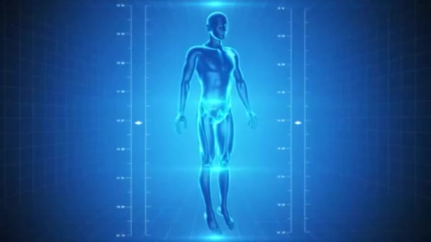 人間の骨格と筋肉のハイテクの背景の x 線のビデオ アニメーションのシームレスなループ - 映像、動画